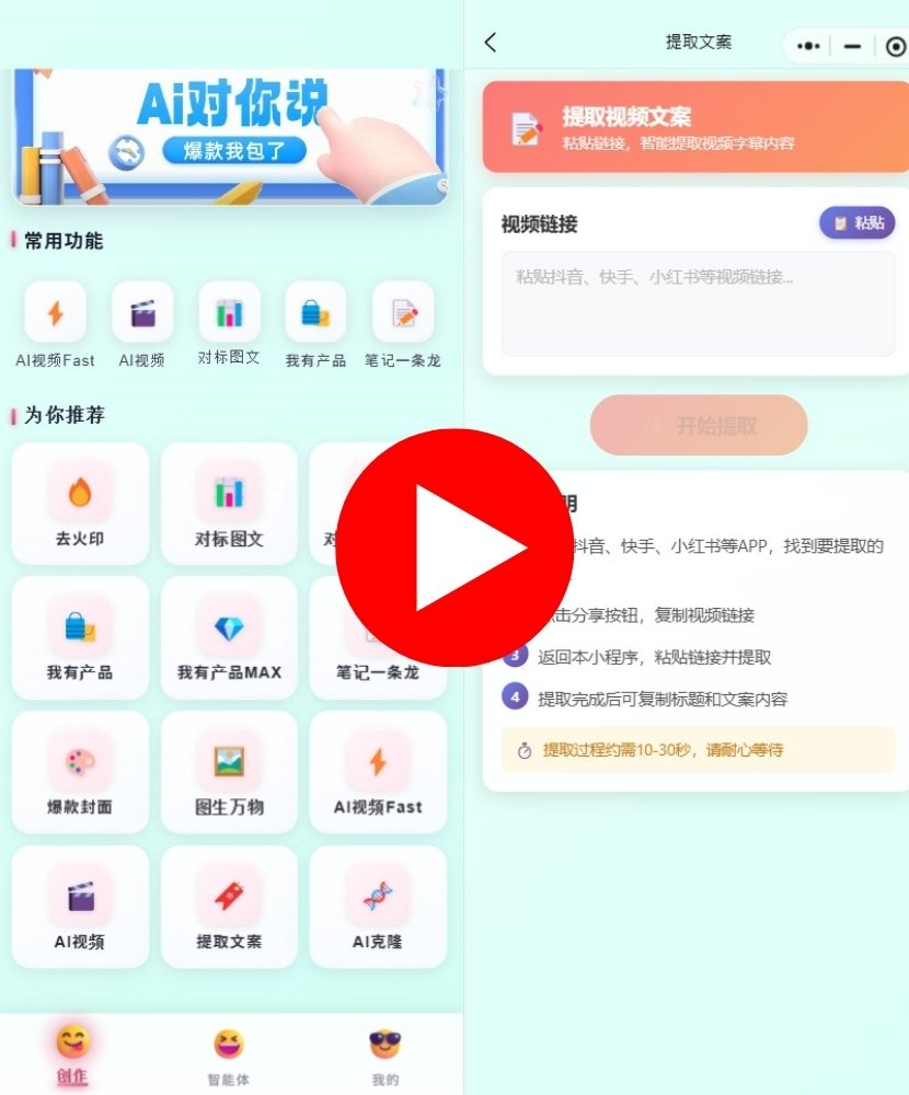 11. 提取文案