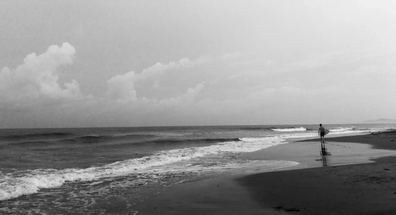 減肥新主張：用這五種白菜食譜助你輕鬆瘦身