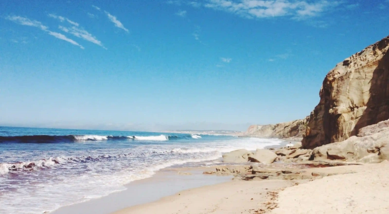 揭開宮保雞丁的秘密：如何在家製作這道經典川菜的五個關鍵步驟