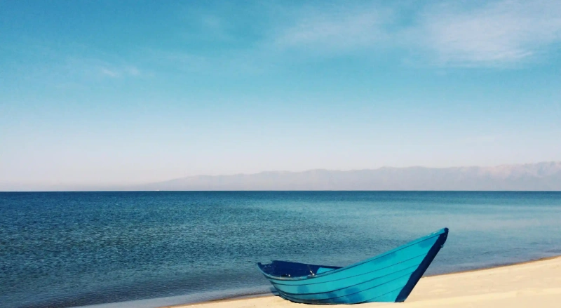 孕婦排便出血應對指南：如何保護您與寶寶的健康？