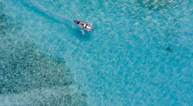 如何通過跑步實現全身減肥？五個關鍵策略讓你意想不到的成功！