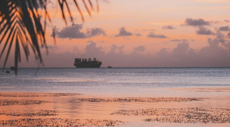 你不知道的柯基剪尾巴背後的故事：為什麼這樣做？