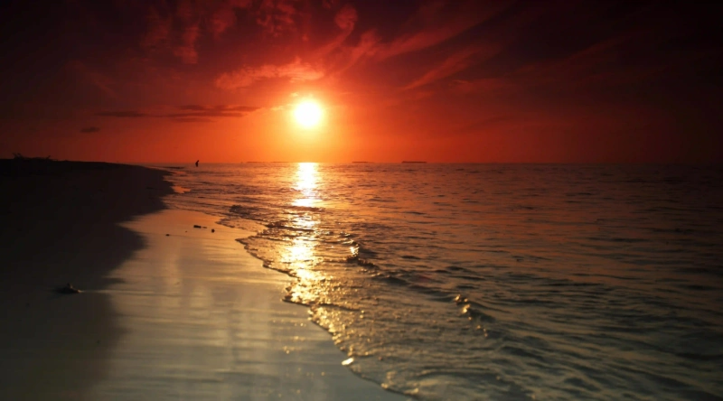 如何準確測量血壓？揭開高血壓自測的8大秘訣！