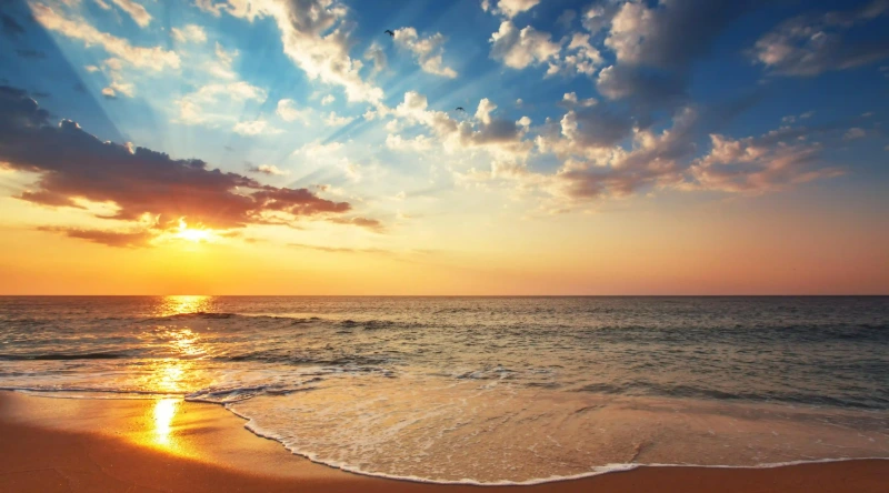 她靠社團內容回顧日，帶動老客回流，讓你的直銷事業持續蓬勃發展！