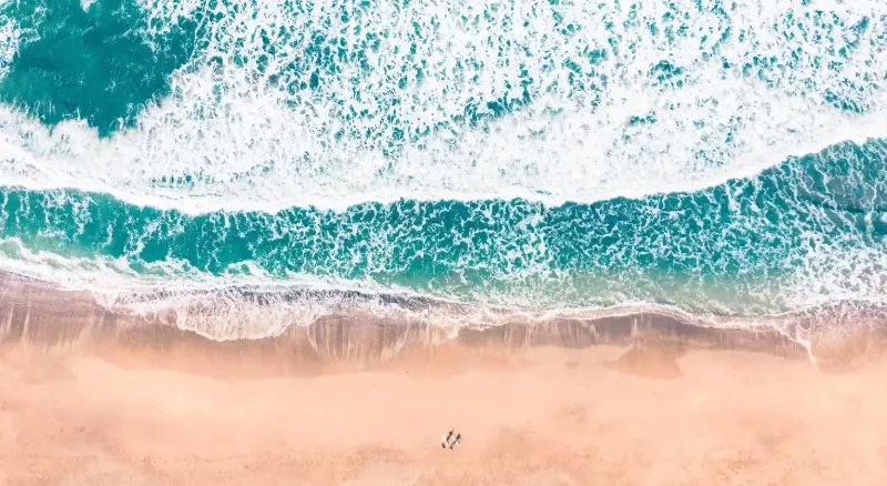 揭密！如何快速識別泰迪犬的年齡？你知道幾種方法嗎？