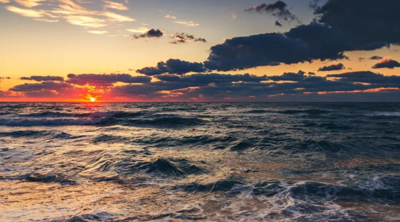 火鍋店如何在競爭中脫穎而出？了解這五個成功策略！