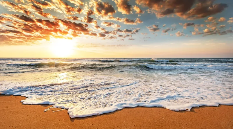 揭開育兒的秘訣：樊登分享的兩大關鍵，讓你徹底解放雙手！