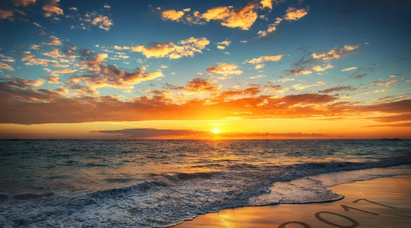 海鮮界的秘密：如何在三個月內吸引千名顧客？