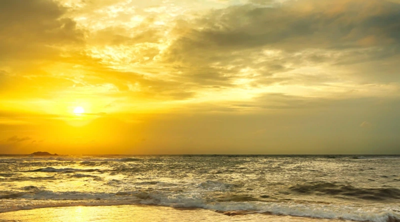 掌握FB社團與粉專的變現術，開啟你的健康事業之路！