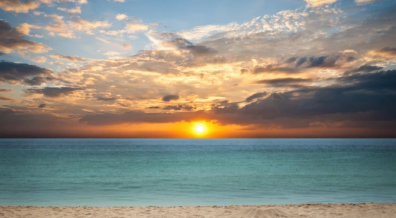 揭開夏季養生的秘密：八個關鍵法則讓你健康無憂！