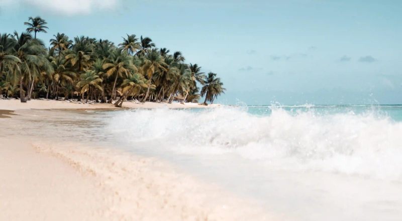 冬季養生飲食的三大關鍵：你知道冬季如何進行健康飲食嗎？