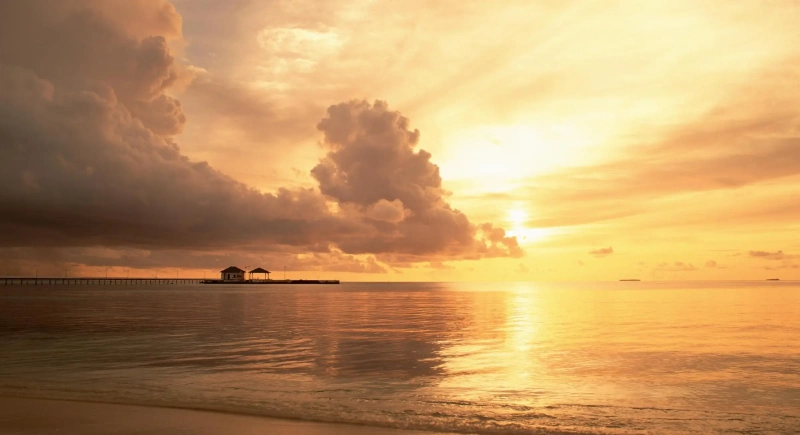 抖音品牌帳怎麼養信任？從第一支影片語氣就要對