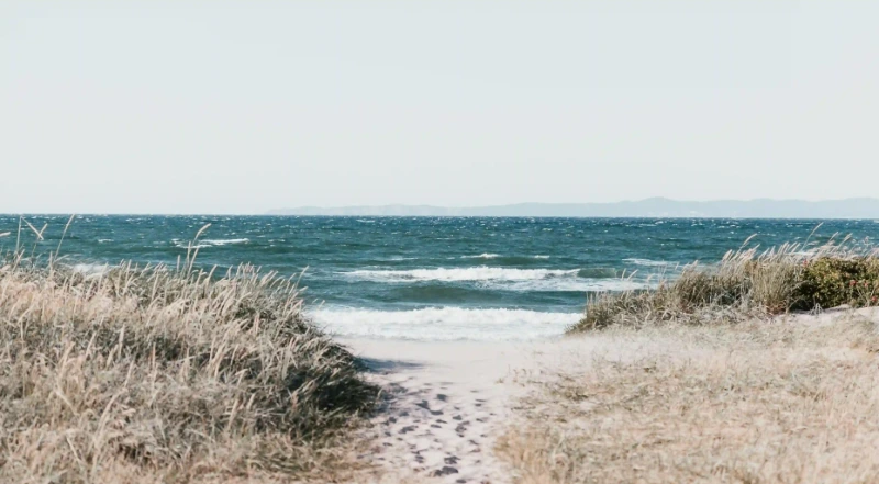 如何利用短信營銷提升你的業務？六大關鍵技巧助你成功！