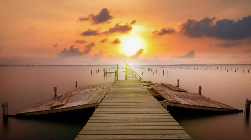 冬季必備的四款養生藥膳，讓你輕鬆抵抗感冒！