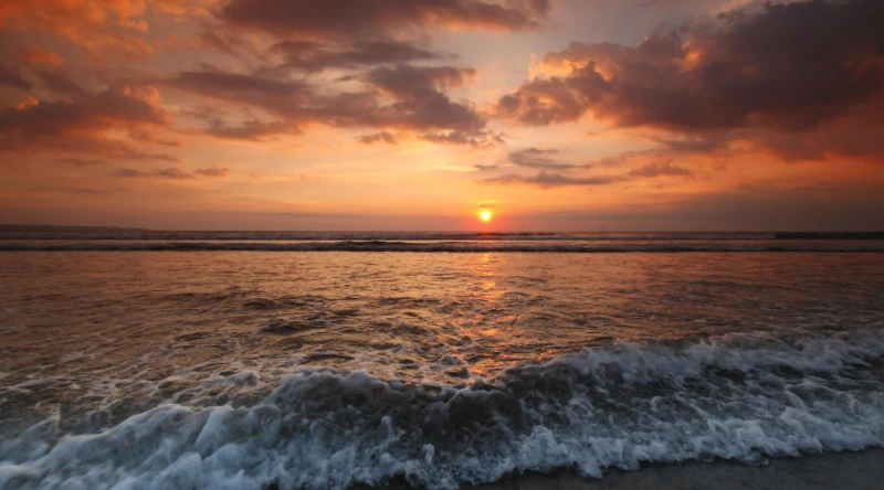 秋季養生：四大心理要素助您延緩衰老，獲得健康長壽