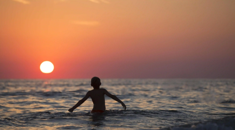 專美犬捉老鼠的秘訣：如何引導您的狗狗成為捕鼠高手？