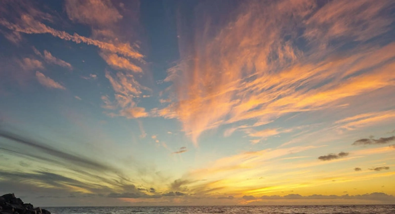 掌握FB社團與粉專的變現術，開啟你的健康事業之路！