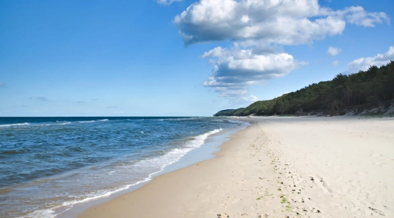 社團一定要互動嗎？其實你該做的是這件事！