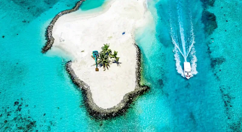 直播不是節目，是一次一次的「心情交換」