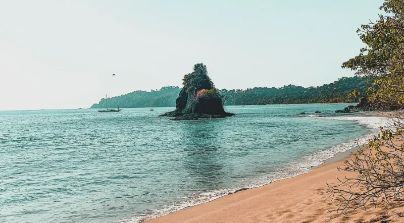 提升男性活力必學！5大穴位按摩秘訣與完整指南