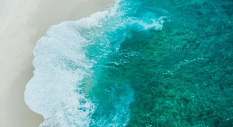 探索神奇草本力量：用地骨皮治療肺熱咳嗽的五大秘訣