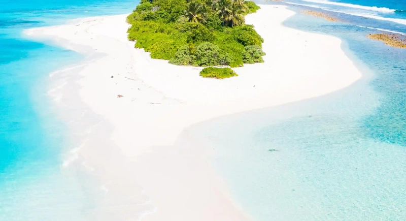 抖音痛點短劇腳本這樣寫，留言＋轉化一次搞定