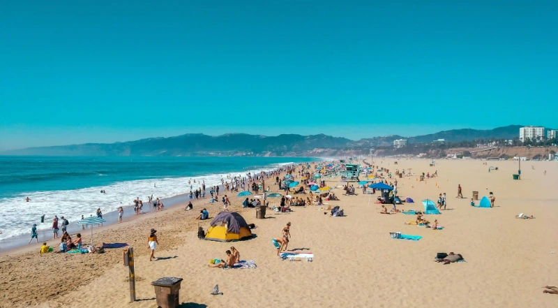 揭秘狐狸犬與博美犬的七大差異，讓你挑選心儀的毛孩不再困惑！