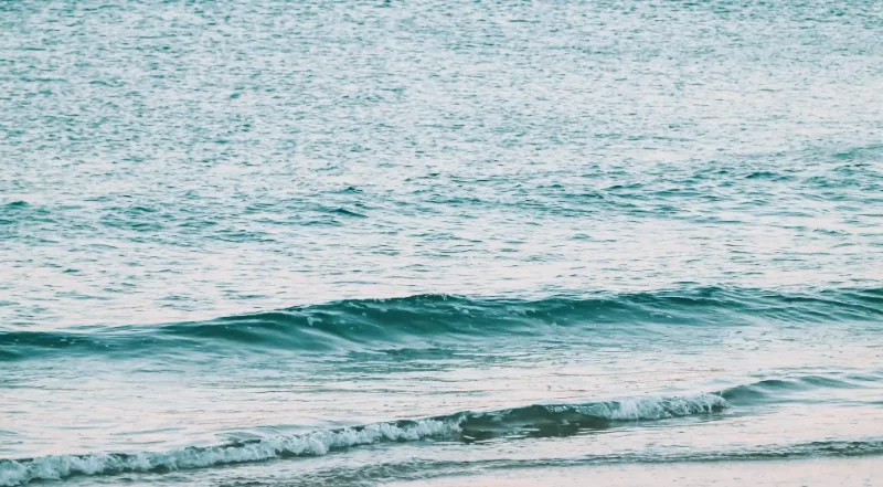 五種滋陰養生方劑的獨特功效與使用技巧