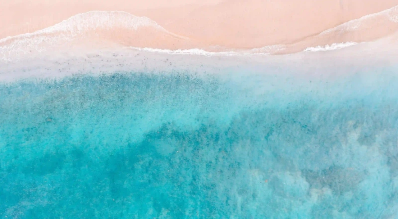 探索中藥的神秘世界：黃芪、丁香茶和菠菜的健康秘密