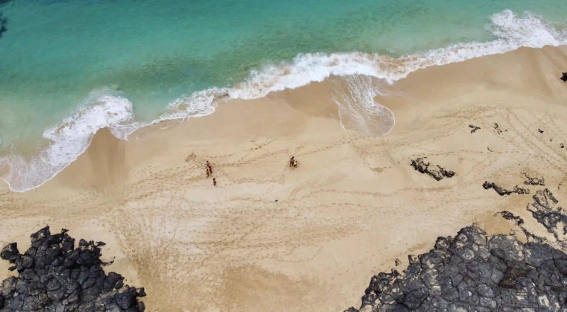 如何透過FB社團與粉專實現熟齡創業變現的秘訣