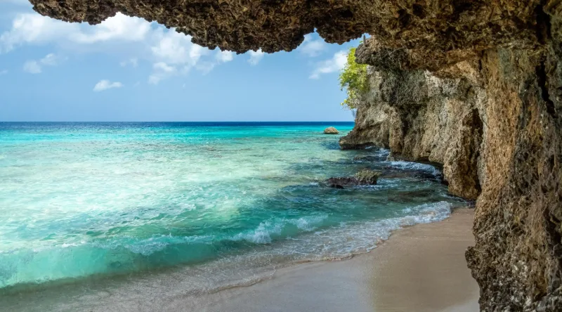 抖音帳號爆粉不靠廣告，靠的是「情緒共鳴」腳本