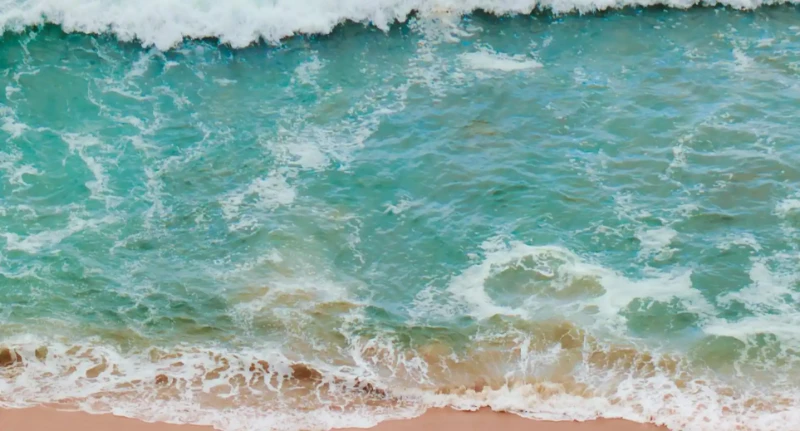 火氣大？揭開五款有效去火茶的秘密，讓你清爽一夏！