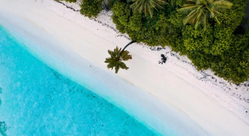 語音不用教學，只說：「我今天也靠它過一個急躁的早晨」