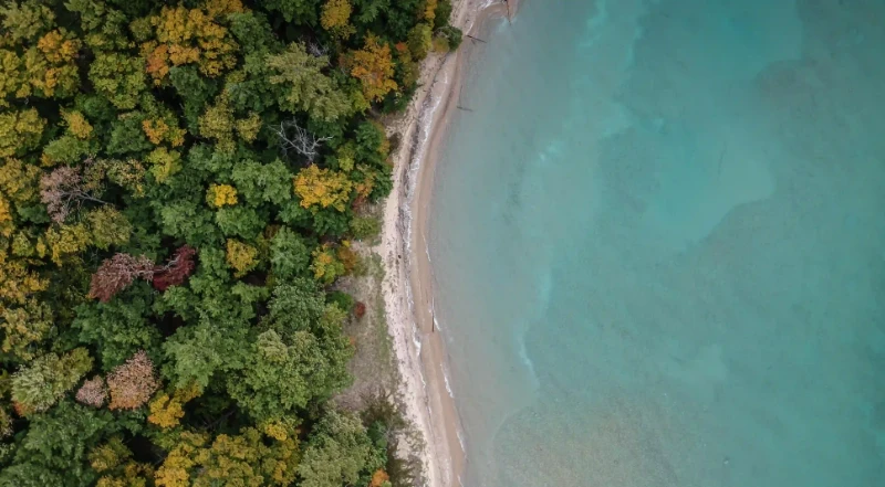 社團直播不是關鍵，文案才是成交核心！掌握這些技巧讓你輕鬆變現
