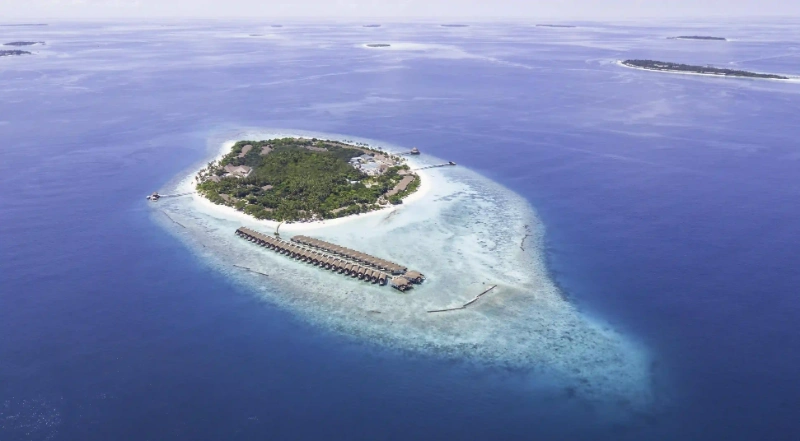 喪偶式婚姻：你是否正在經歷一場孤獨的婚姻？