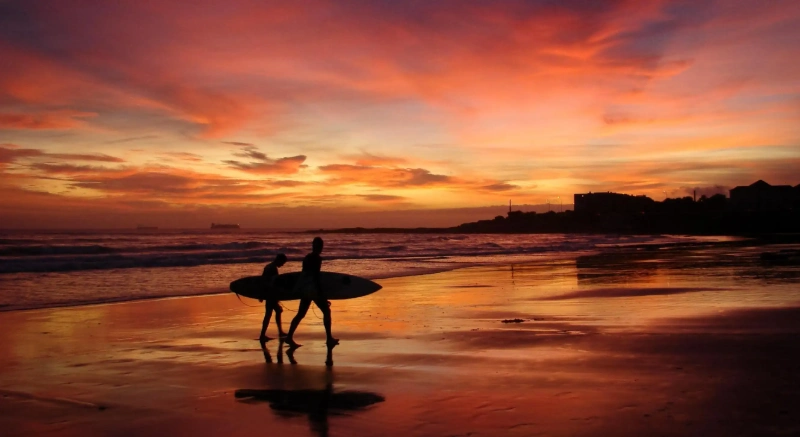 解密便秘：五種藥膳助你輕鬆排便，改善腸道健康！