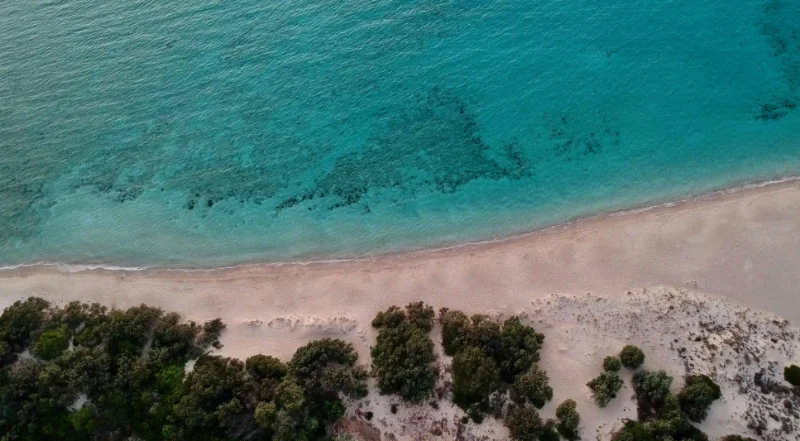 早晨的美味驚喜：探索10款讓你唇齒留香的創意早餐食譜