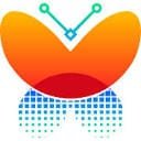 vectorizer图片矢量化