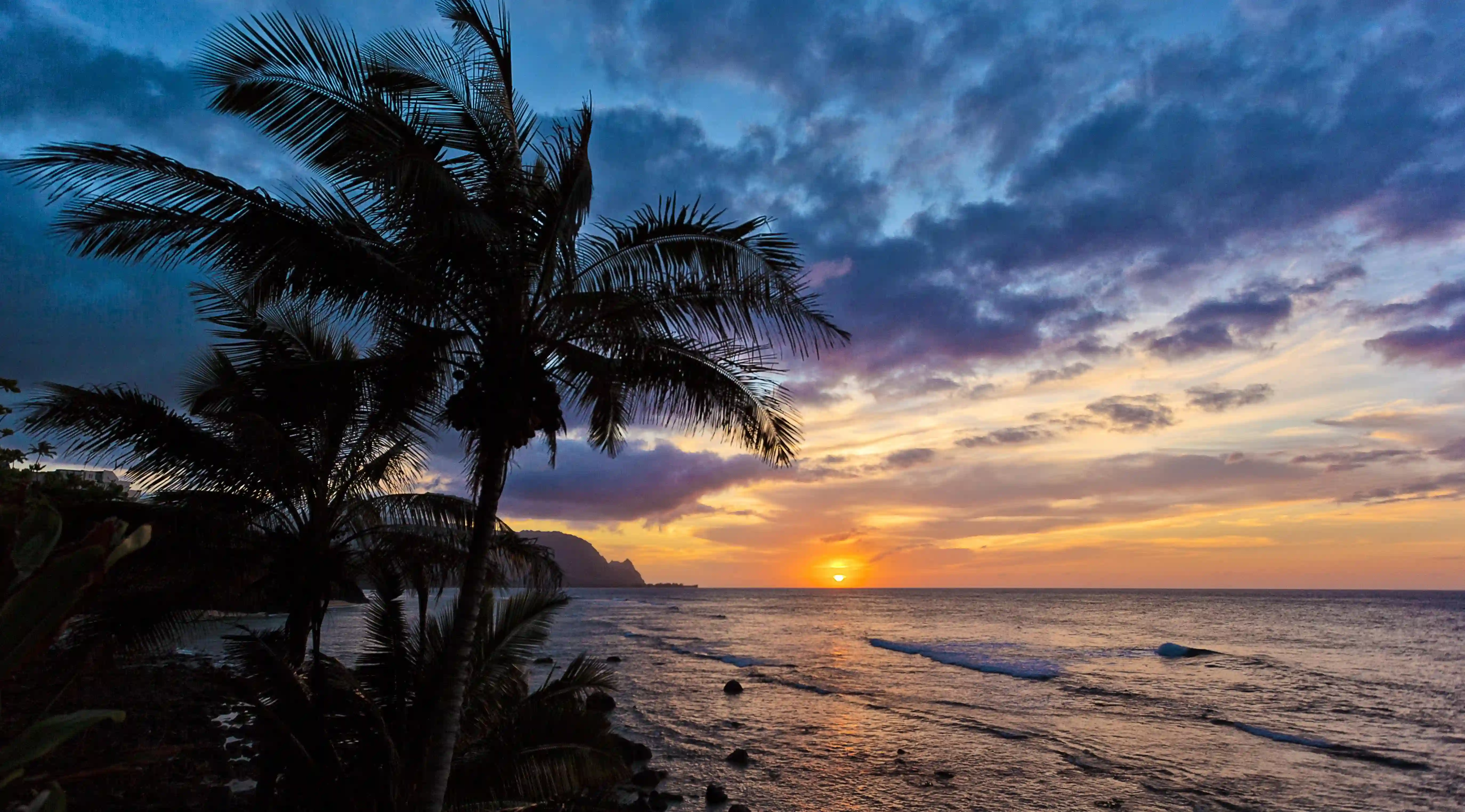 如何讓貓咪的毛髮閃耀光彩？這五個專業小秘訣你不能錯過！