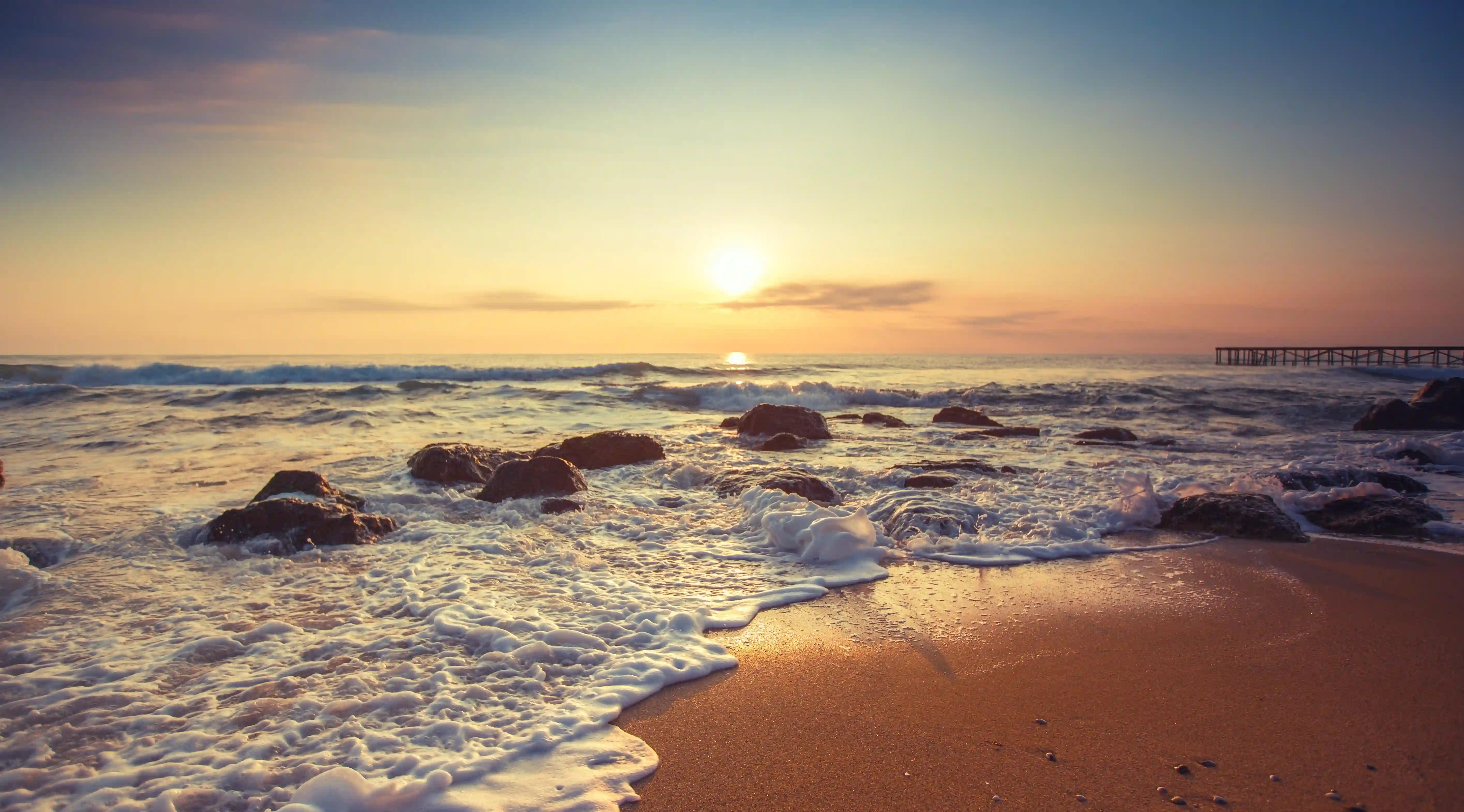 洗貓的五個迷思，你絕對不能再犯！