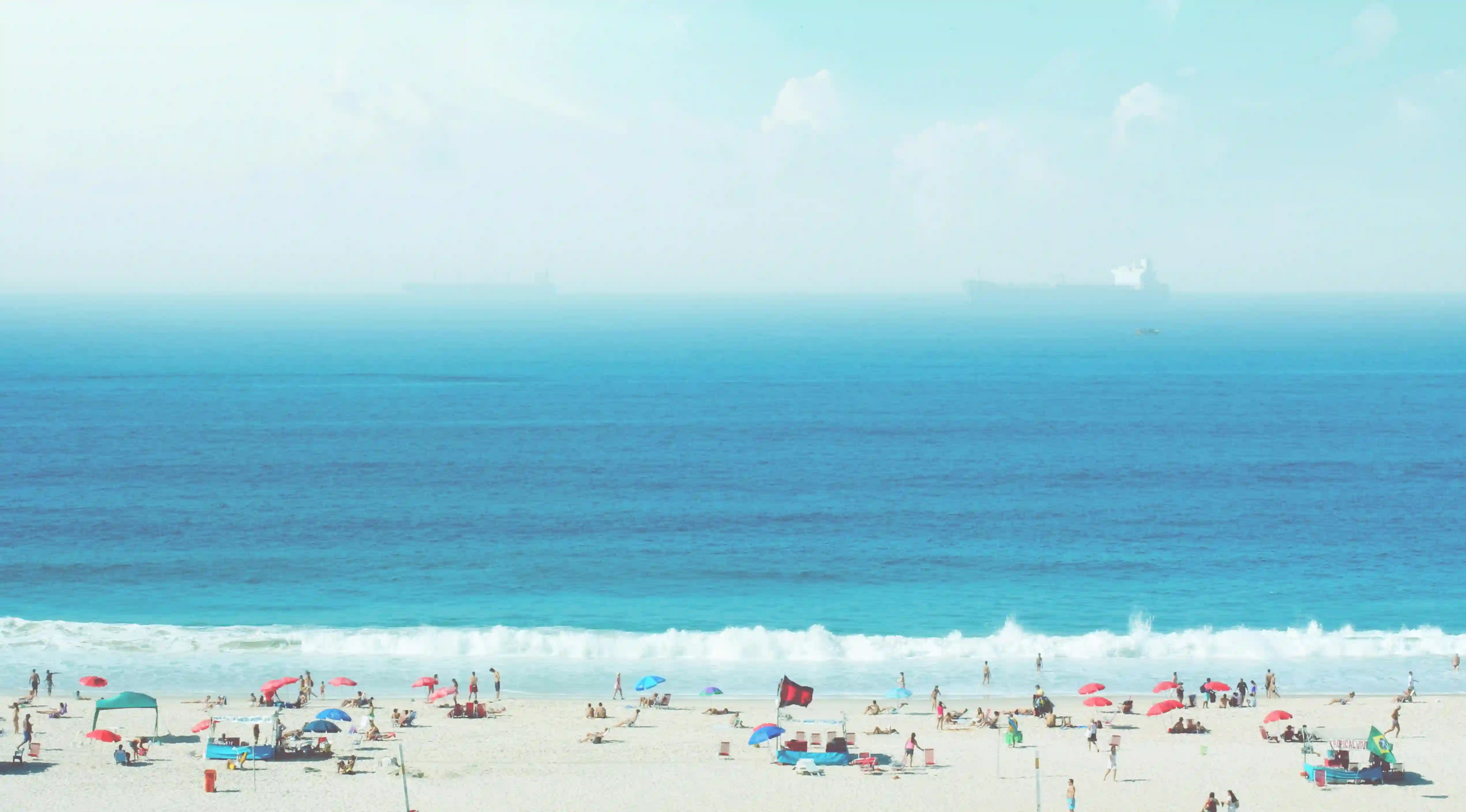 如何以五個簡單步驟為貓咪安全洗澡？揭開貓咪洗澡的神秘面紗！