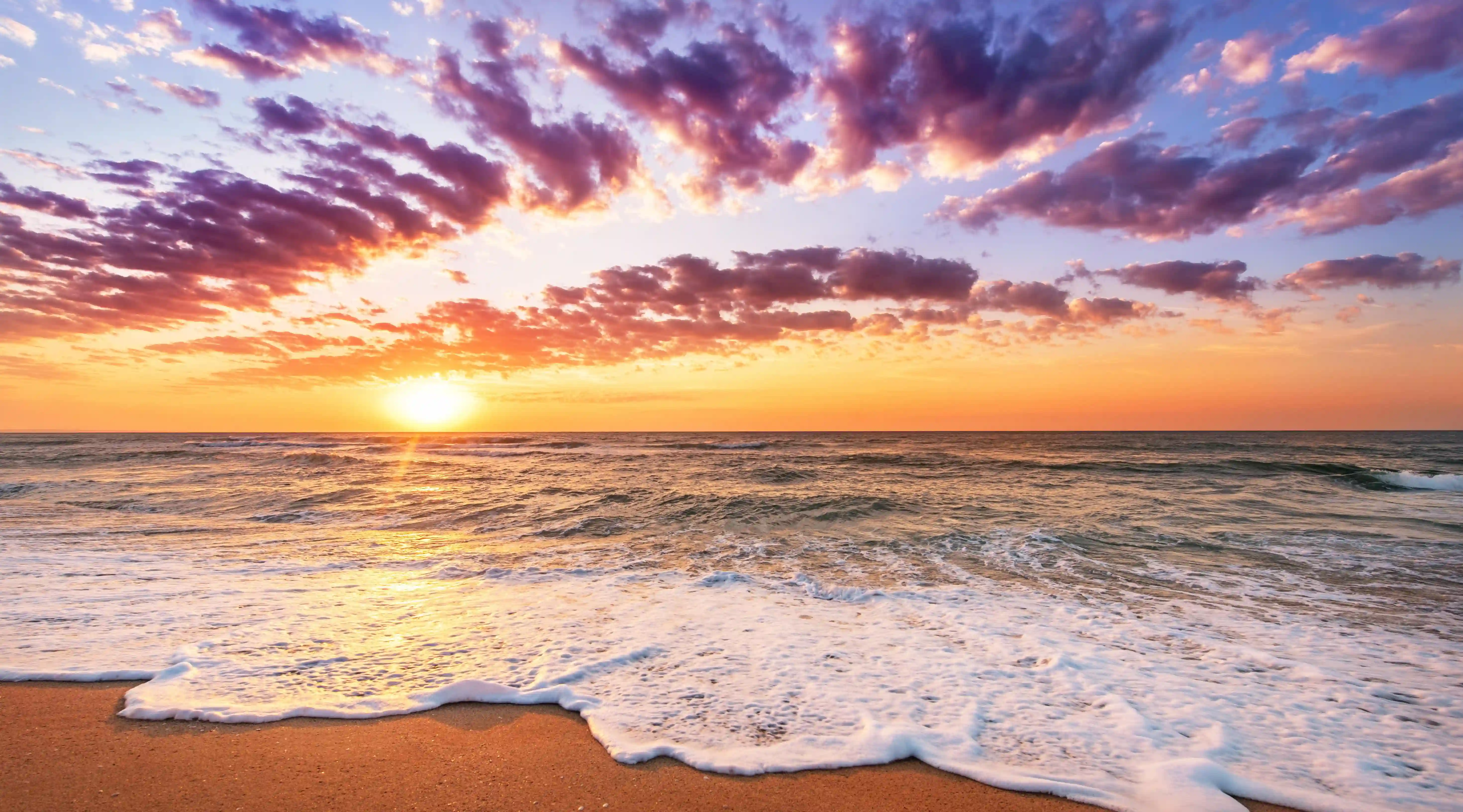 夏日貓咪護理秘籍:如何安全有效地為貓咪剪毛?