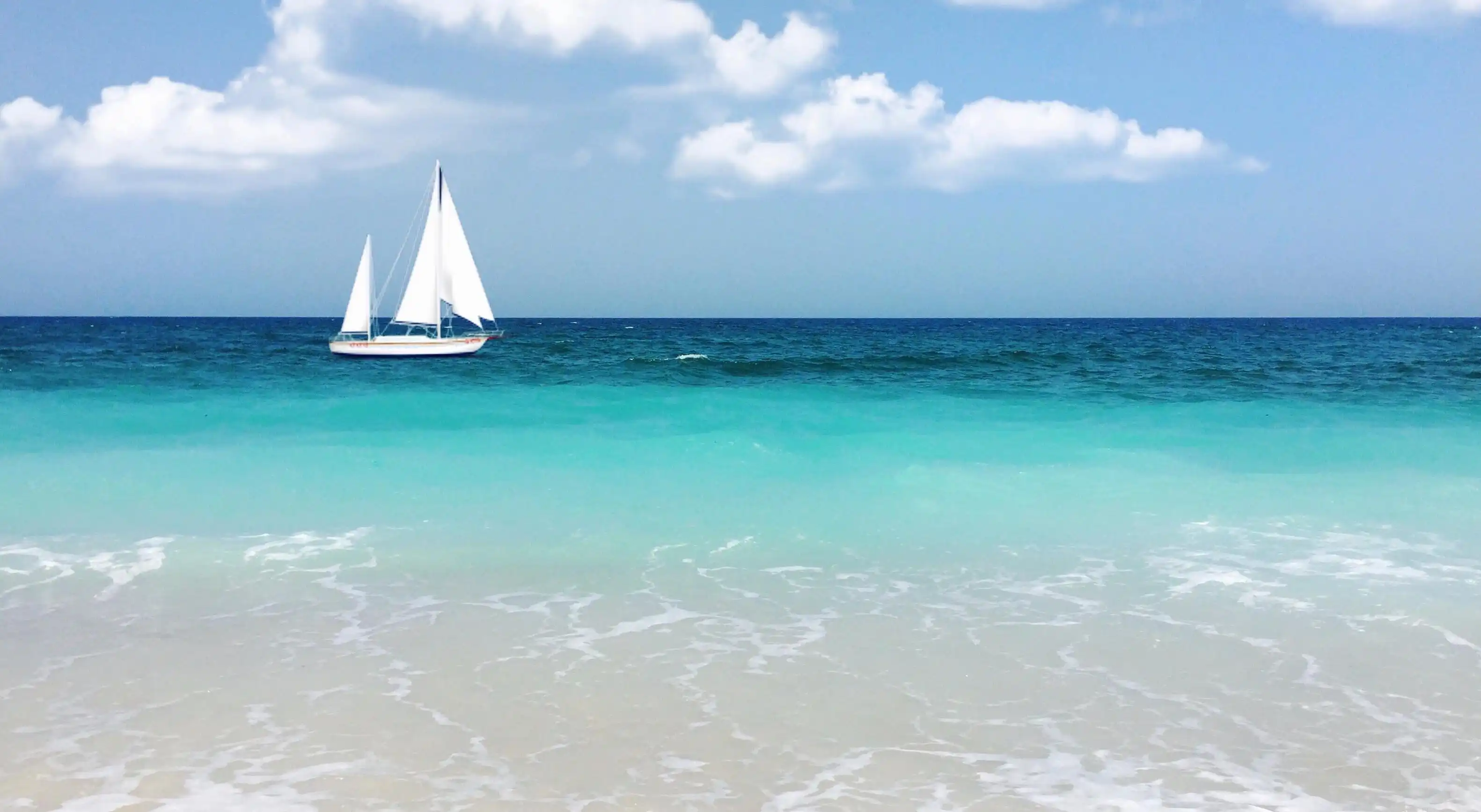 五個關鍵步驟,讓您的寵物安全舒適地託運!