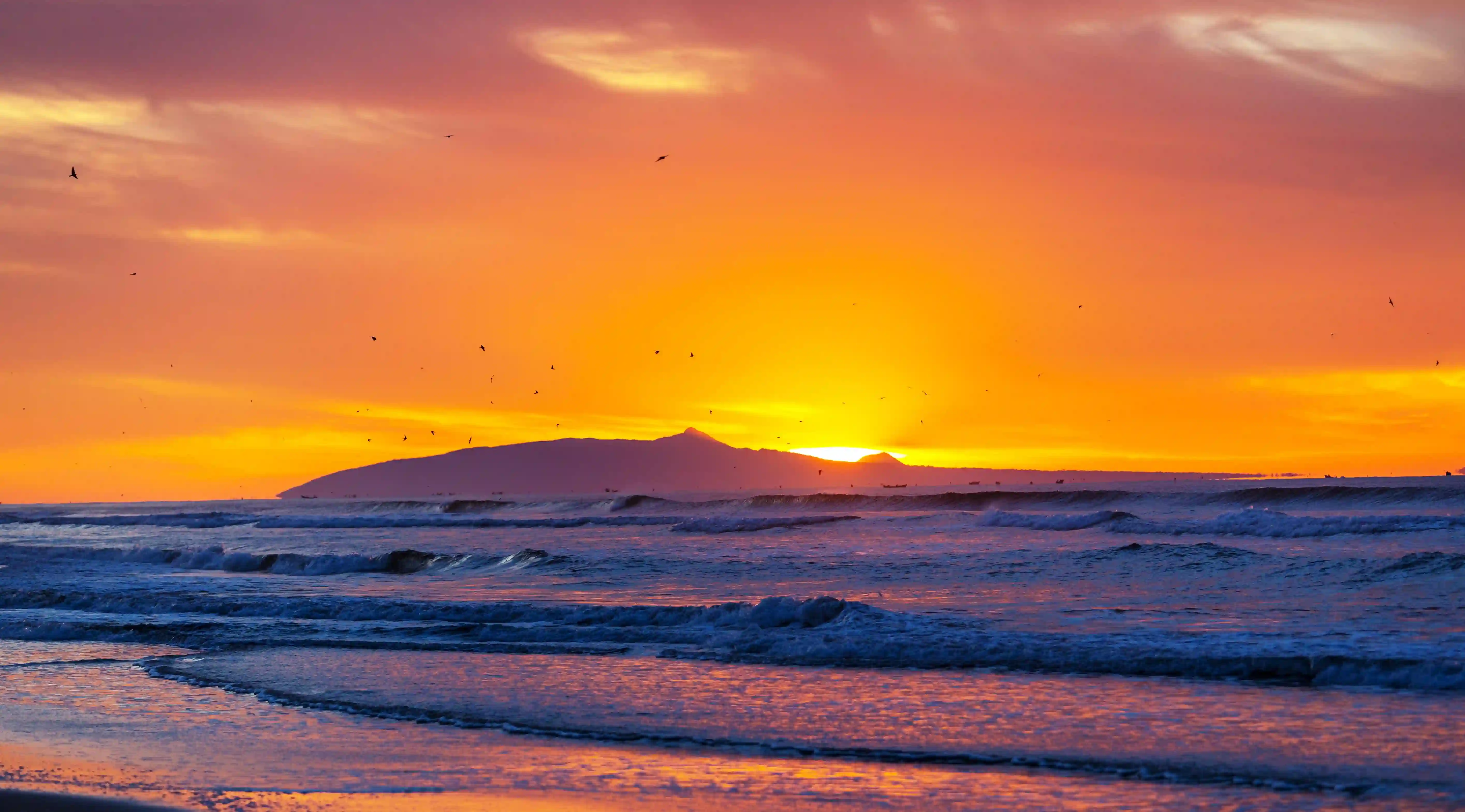 揭開狗糧的秘密:四大關鍵讓你的狗狗更健康