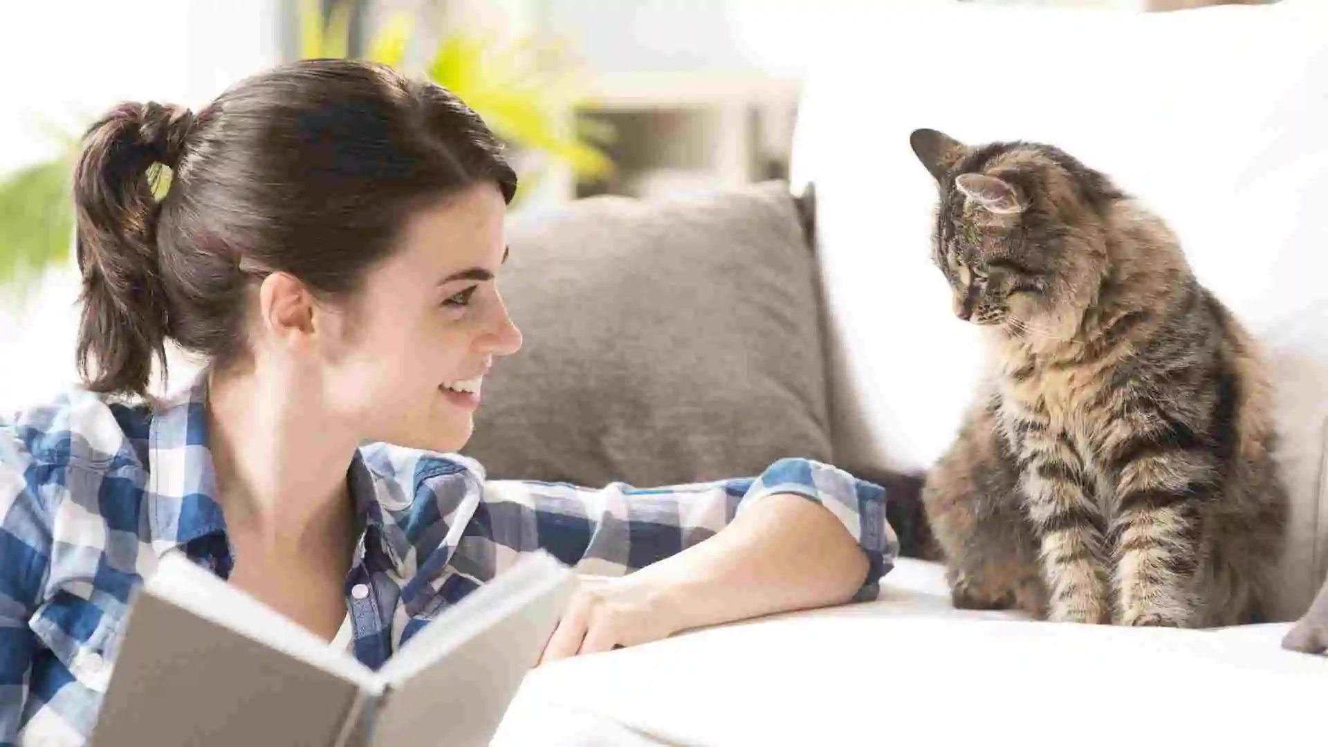 貓咪迷路了嗎？揭開五大GPS科技如何保護您的愛貓