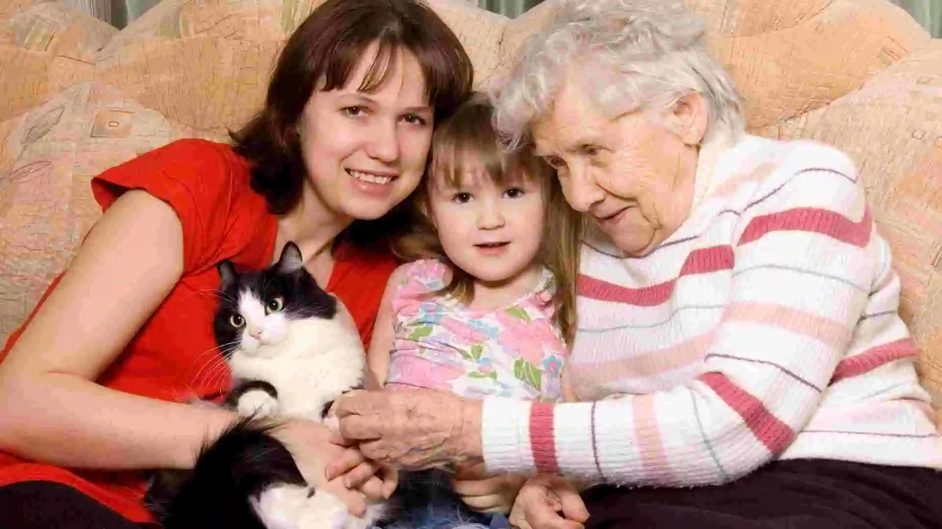 讓你的貓咪愛上這道美味魚肉餅：五個快速簡單的製作步驟！