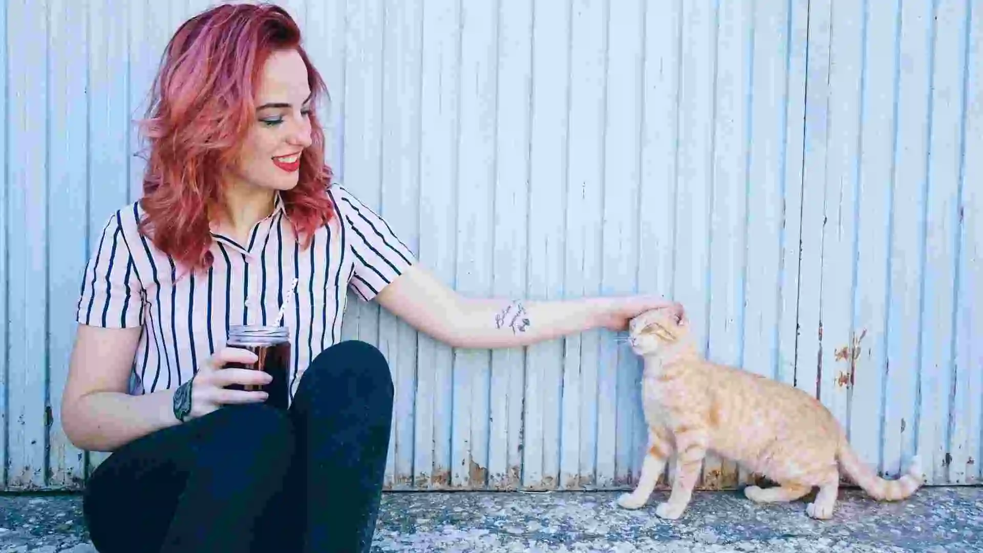 如何DIY貓抓板？三步驟讓你的貓咪愛上自製玩具