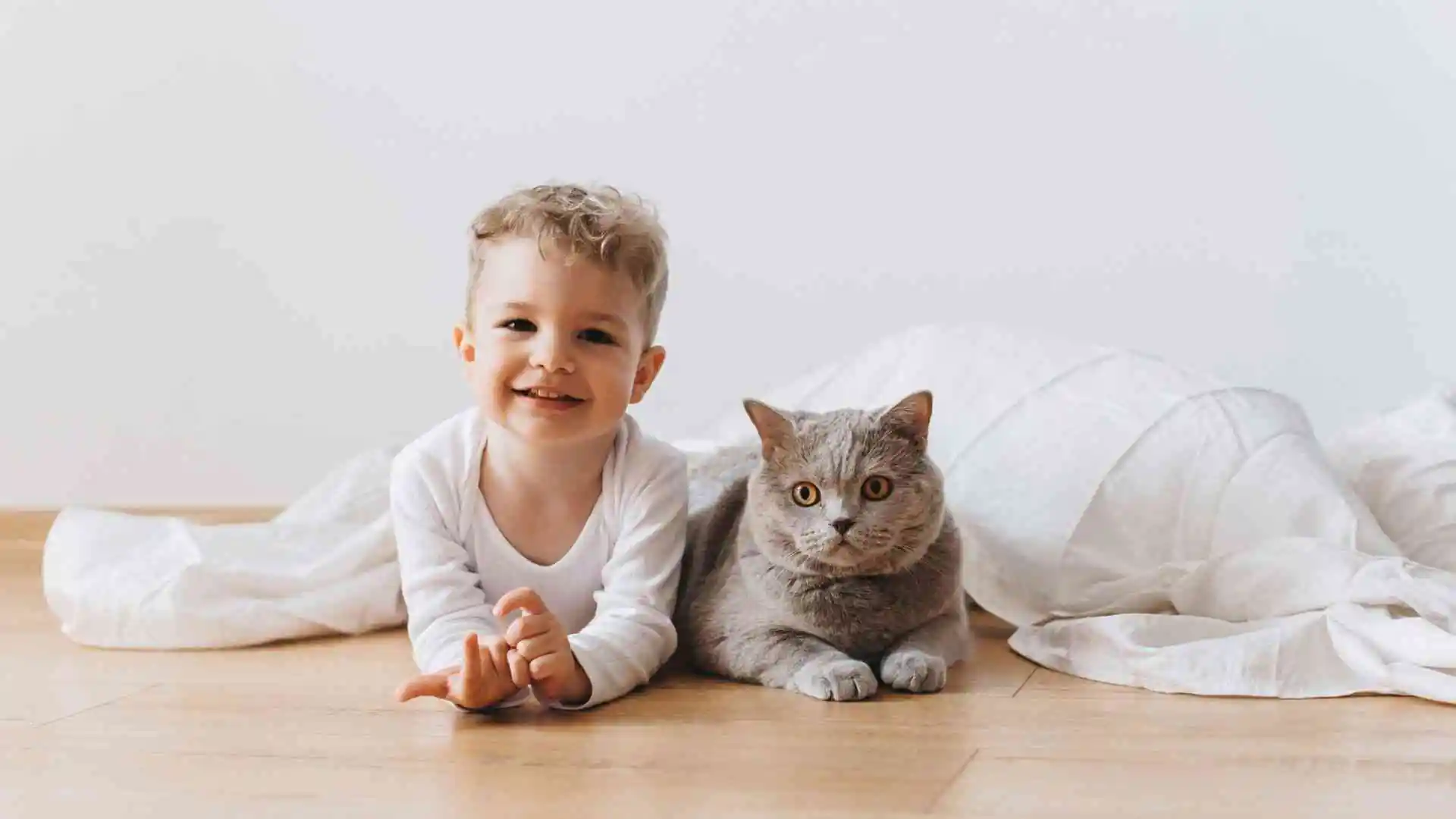 為什麼貓咪拒絕貓糧？探索五個替代選擇及其健康影響