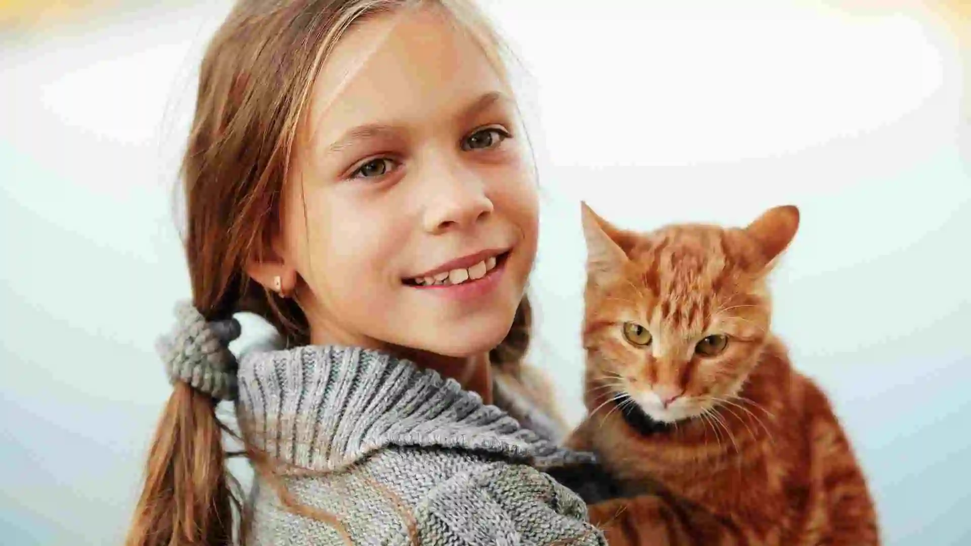 貓和老鼠的微妙關係：你不知道的五個驚人真相