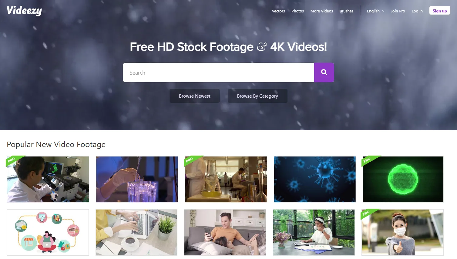 Videezy 網站擷取圖